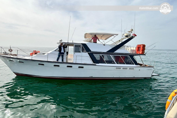 Half-Day Sailing Adventure Bayliner Motor Yacht Agadir, Morocco