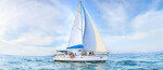 Whate watching, Scuba Diving Sailing Yacht Rental in Girne, Cyprus
