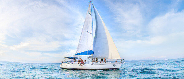 Whate watching, Scuba Diving Sailing Yacht Rental in Girne, Cyprus
