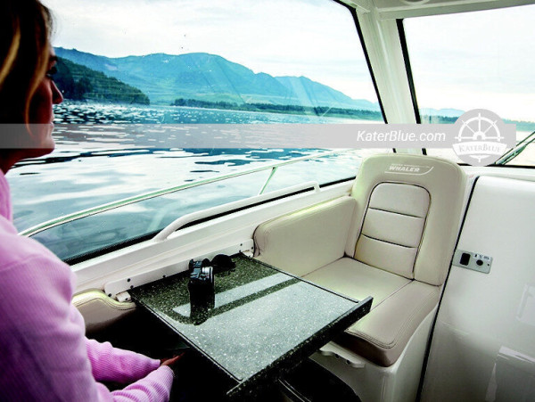 9m Whaler 285 conquest charter i Genua Italien
