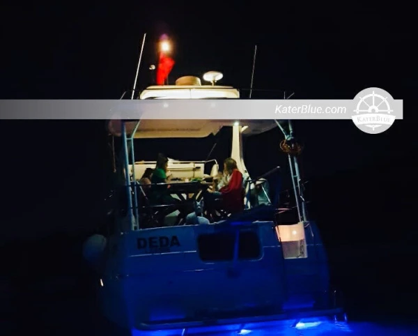 Amazing 10 hours sailing trip Motor yacht Bayliner 3587 AFT charter in Çeşme İzmir