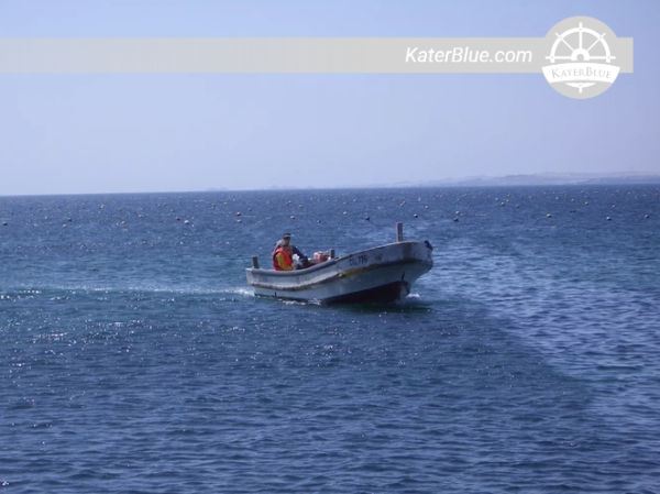 Sale Starline-27FT / FTX  Motorboat in Buenos Aires, Argentina