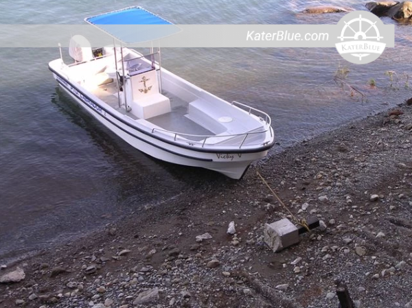 Sale Starline-27FT / FTX  Motorboat in Buenos Aires, Argentina