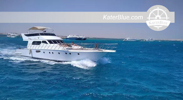Snorkling, Island Tour, Swim with Dolphin Experience Charter in Hurghada, Egypt