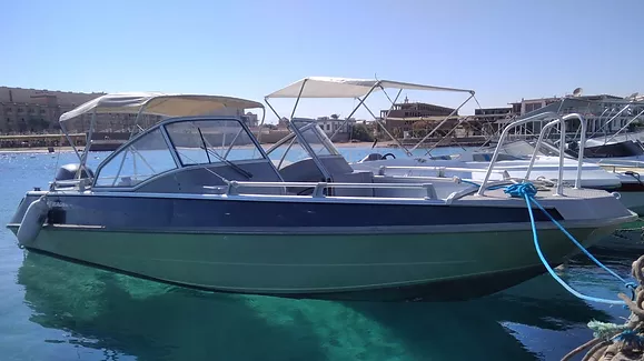 Enjoy Swimming with Dolphins, Snorkling, Island on a private motorboat charter in Hurghada, Egypt