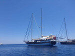 Bodrum'da Gulet kiralama ile harika yelken turu/Muğla, Türkiye