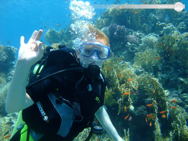 Diving with Full-Equipment &amp; Certified guide in Aquaba, Jordan