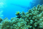 Ürdün, Akabe Körfezi'nde öğle yemeği ile 3 Saatlik Şnorkelli yüzme gezisi