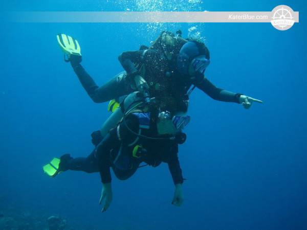 Diving and Snorkeling water adventures in top dive sites in Aquaba, Jordan
