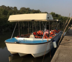 Motorboat safari with flamingo watching experience for 24 guests in Mumbai, India