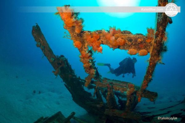 Esperienza di apnea a bordo di un motoscafo a noleggio a Kaş, Antalya, Turchia
