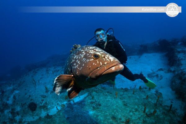 Esperienza di apnea a bordo di un motoscafo a noleggio a Kaş, Antalya, Turchia