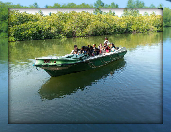 Amazing Boat Safari in Maadu River in Balapitiya Sri Lanka
