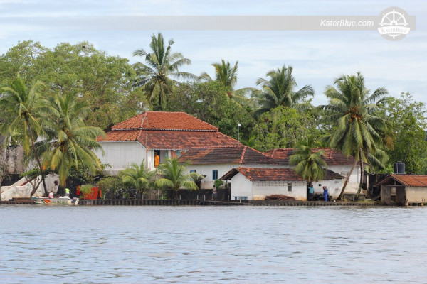 Amazing Boat Safari in Maadu River in Balapitiya Sri Lanka