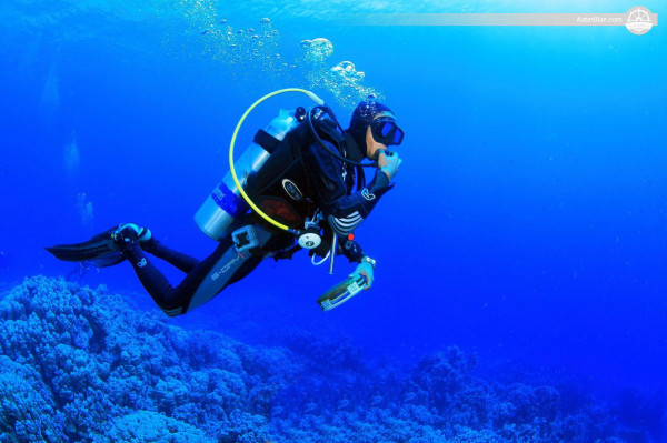 Pleasurable diving and Snorkeling Experiences with an amazing purpose built Dive Boat Charter in Aqaba, Jordan