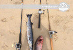 Unforgetable Fishing Charter Experience in Trincomalee, Sri Lanka