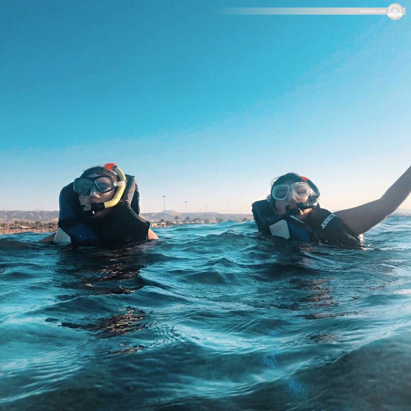 Pleasurable diving and Snorkeling Experiences with an amazing purpose built Dive Boat Charter in Aqaba, Jordan