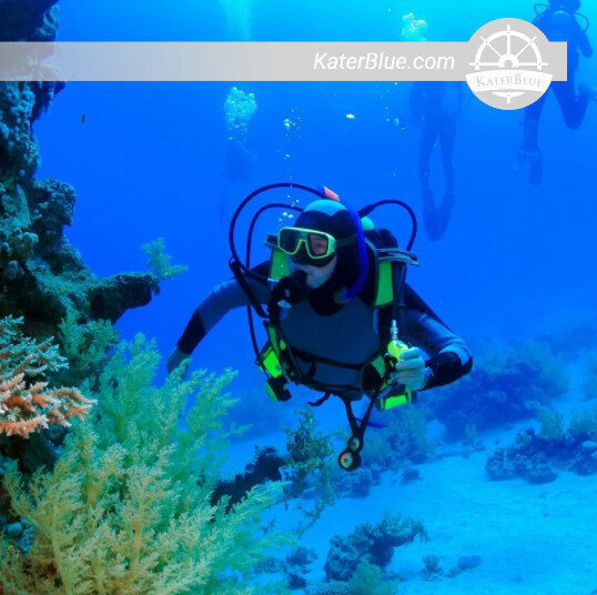 Perfect diving Experience with a Comfortable Dive Boat Charter in Aqaba, Jordan
