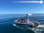 Wonderful 4 Hour Sailing trip with a brilliant Motor boat in Málaga, Spain