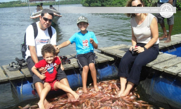 Passeio de barco encantador de 2 horas em Bentota, Sri Lanka.
