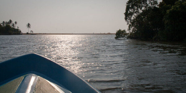 Amazing Canal, Lagoon & Muthurajawela Marsh boat tour in Negombo, Sri Lanka