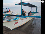 Dolphin Sunrise Charter Lovina Beach-Indonesia