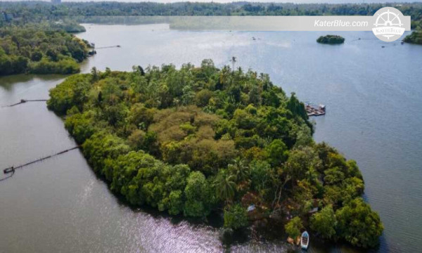 Maadu River safari Balapitiya-Sri Lanka