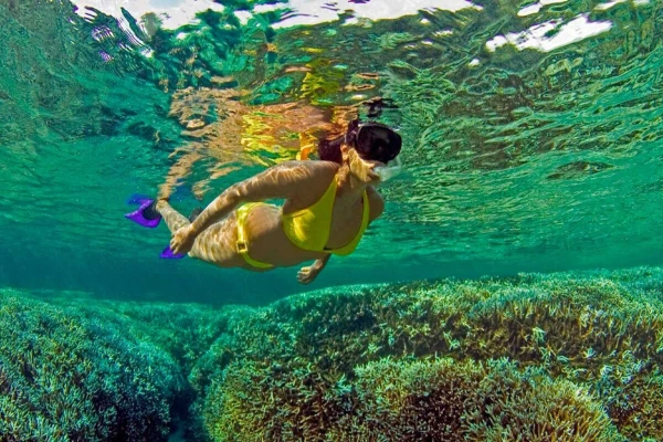 Mesmerizing times in  Pigeon Island Snorkeling Trincomalee-Sri Lanka 