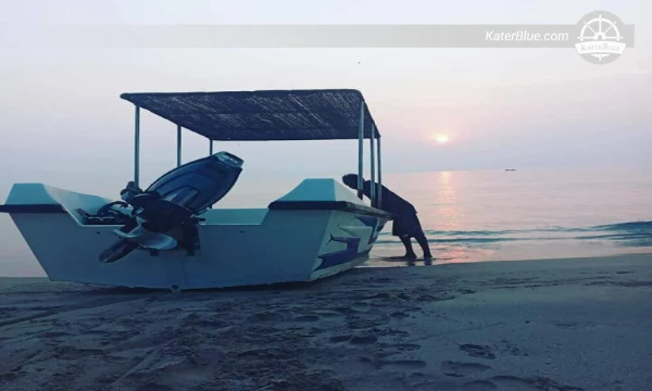 Κολυμπήστε με υδρόβια ζωή στα γαλάζια νερά του βράχου Σουάμι στο Τρίνκο της Σρι Λάνκα.