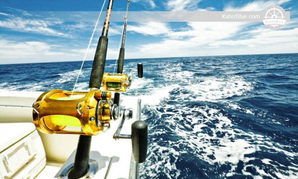 Meet huge sea creatures during deep sea fishing Mirissa-Sri Lanka.