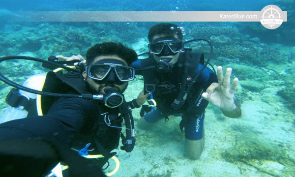 Discover the Ocean's magnificent marine life Trincomalee-Sri Lanka