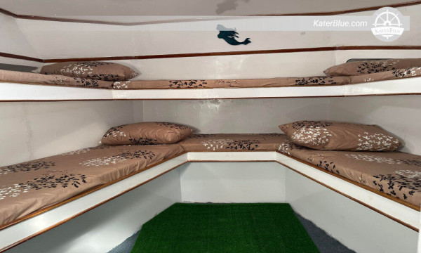 Wonderful Cruising sail with Dolphin Experience Hurghada-Egypt
