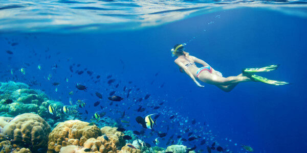 Experience the Snorkeling fascinating underwater world of the Red Sea Hurghada-Egypt