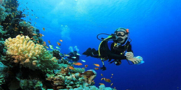 Memorable diving experiencein  the amazing underwater world of Hurghadai-Egypt