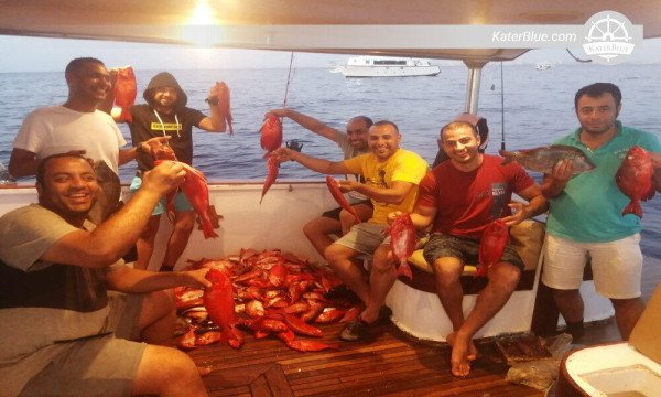 Beleef een spannende visexcursie in Hurghada, Egypte.