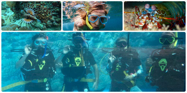 Discover the underwater world Try Diving for Beginners Trincomalee-Sri Lanka