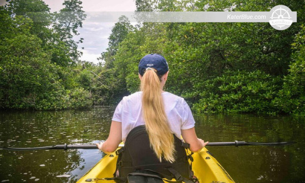 Paddle a Kayak within Mangroves in Madu river Ambalangoda-Sri Lanka