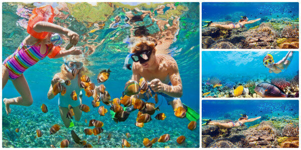 Vacation snorkeling experience for the whole family Trincomalee-Sri Lanka