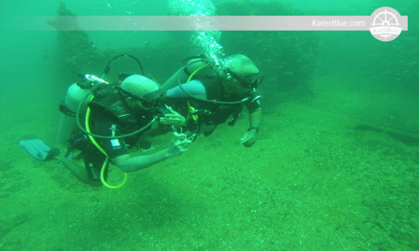 Experince the Try scuba diving in Mount Lavinia-Sri Lanka