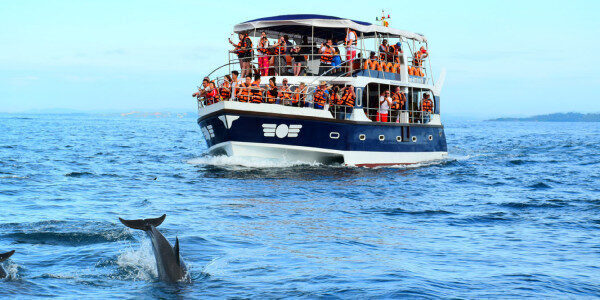 Well explained and unique Whale watching experience Mirissa-Sri Lanka