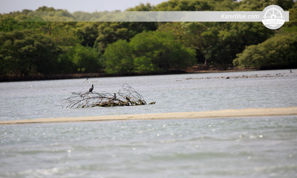 Fishing Islands tour with Lagoon tour Kalpitiya-Sri lanka