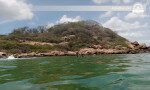 Explore Pigeon Island underwater beauty Nilaveli, Sri Lanka