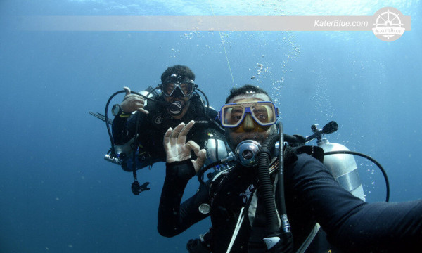 Fun diving in most popular dive sites Kalpitiya-Sri lanka