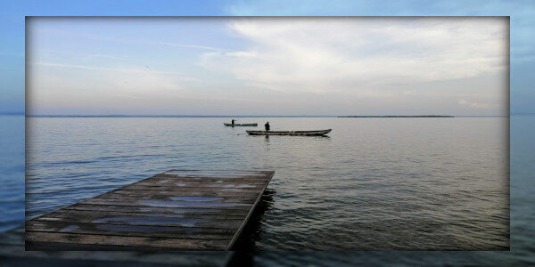 Experience the lovely surprise of the Lagoon's Marine Life Kalpitiya-Sri lanka 