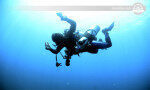 En popüler dalış sitelerinde eğlenceli dalış Kalpitiya-Sri lanka