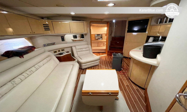 Sea Ray yacht dagcharter med skipper Marbella-Spanien