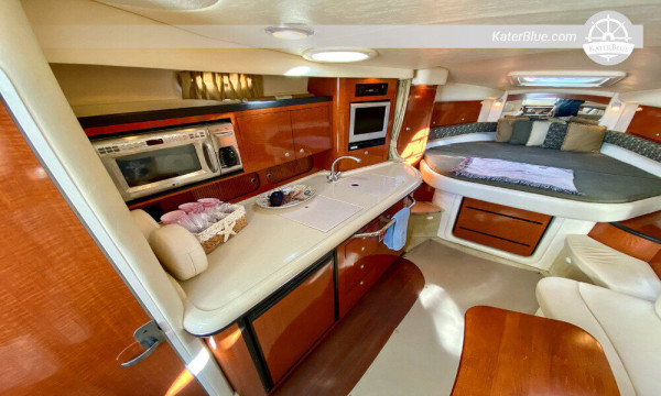 Sea Ray yacht dagcharter med skipper Marbella-Spanien