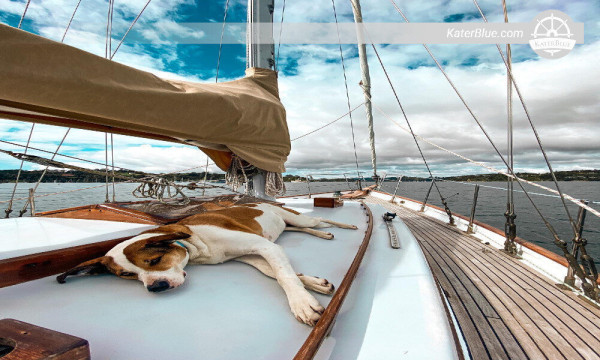 Traditional gullet day charter Paihia New Zealand