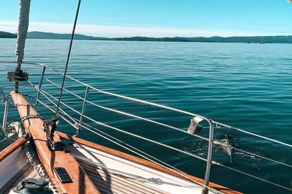 Traditionell gullet-dagcharter i Matauri Bay, Nya Zeeland
