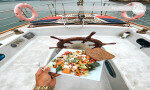 Traditional gullet day charter Russell New Zealand
